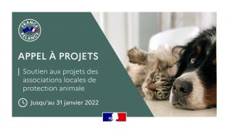 Appel à projets 2022 : soutien aux projets locaux portés par les associations de protection animale